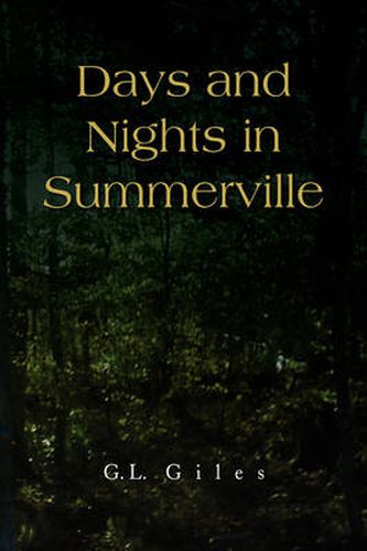 Cover image for Days and Nights in Summerville