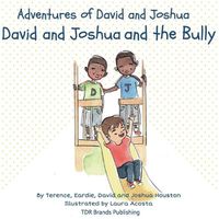 Cover image for David and Joshua and the Bully