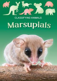 Cover image for Marsupials