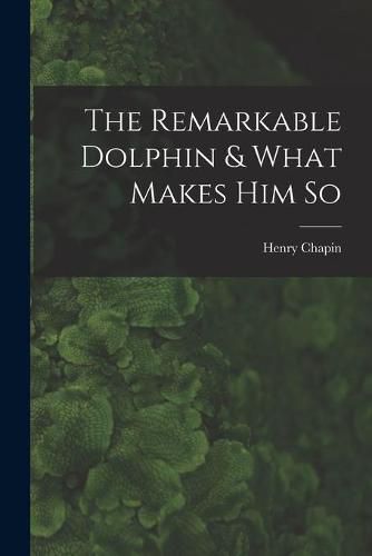 Cover image for The Remarkable Dolphin & What Makes Him So