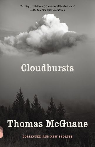 Cover image for Cloudbursts: Collected and New Stories