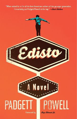 Cover image for Edisto: A Novel