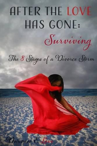 Cover image for After The Love Has Gone: Surviving the 8 Stages of a Divorce Storm