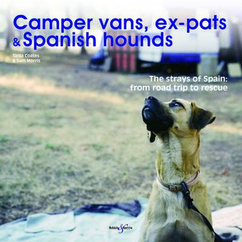 Cover image for Camper Vans, Ex-Pats and Spanish Hounds