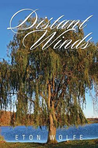 Cover image for Distant Winds