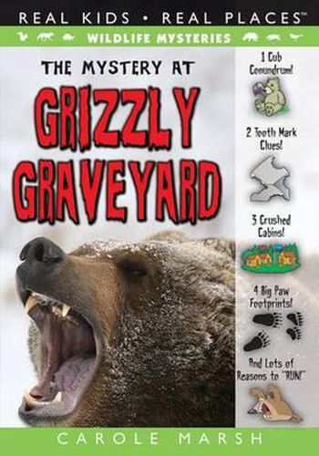 Cover image for The Mystery at Grizzly Graveyard