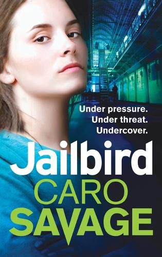 Cover image for Jailbird