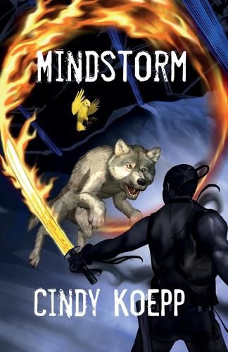 Cover image for Mindstorm: Parley at Ologo