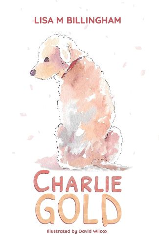 Cover image for Charlie Gold