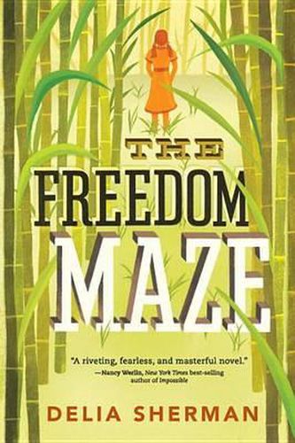 Cover image for The Freedom Maze