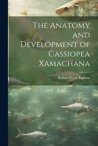 Cover image for The Anatomy and Development of Cassiopea Xamachana