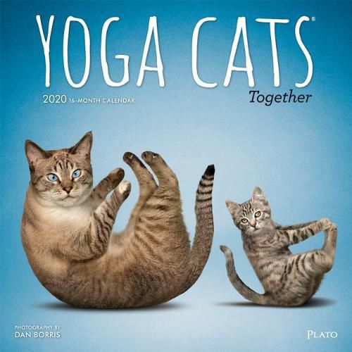 Yoga Cats Together 2020 Square Plato