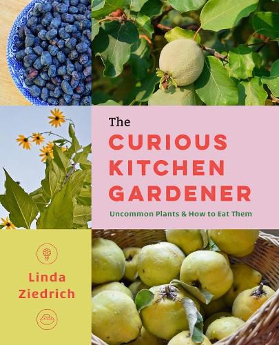 Cover image for The Curious Kitchen Gardener