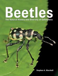 Cover image for Beetles: The Natural History and Diversity of Coleoptera