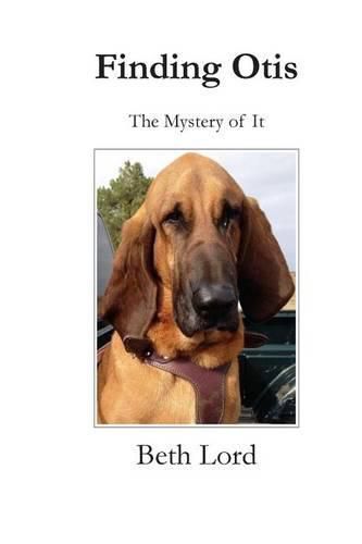 Cover image for Finding Otis: The Mystery of It