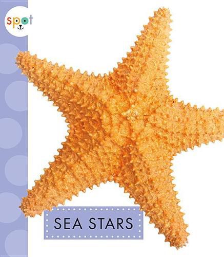 Cover image for Sea Stars