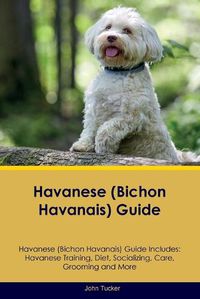 Cover image for Havanese (Bichon Havanais) Guide Havanese Guide Includes