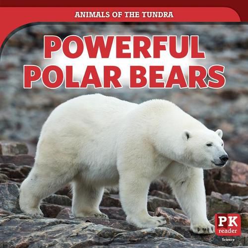 Powerful Polar Bears