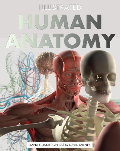 Illustrated Human Anatomy