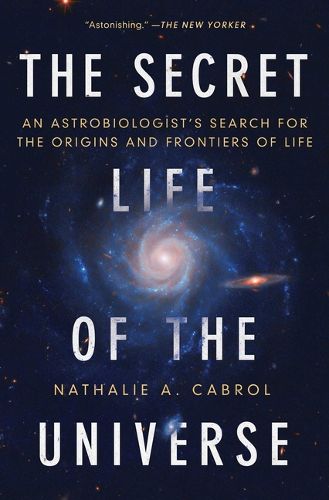 Cover image for The Secret Life of the Universe