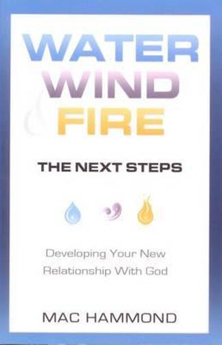 Cover image for Water, Wind, Fire, the Next Steps: Developing Your New Relationship with God