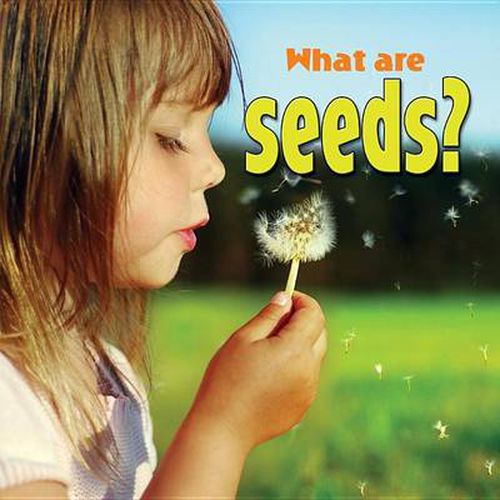 Cover image for What are seeds?