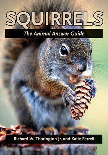 Cover image for Squirrels: The Animal Answer Guide