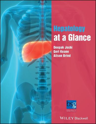 Cover image for Hepatology at a Glance