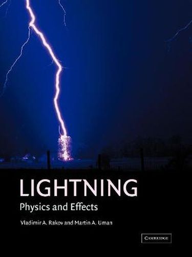 Cover image for Lightning: Physics and Effects