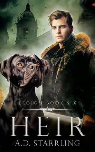 Cover image for Heir