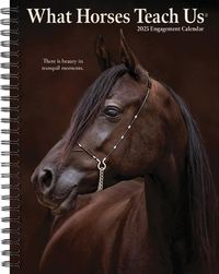 Cover image for What Horses Teach Us 2025 6.5 X 8.5 Engagement Calendar