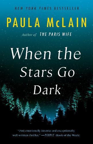 Cover image for When the Stars Go Dark: A Novel