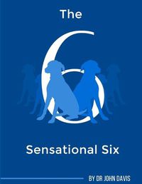 Cover image for The Sensational Six