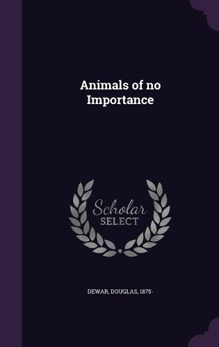 Cover image for Animals of No Importance