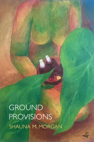 Cover image for Ground Provisions