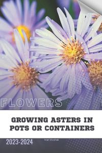 Cover image for Growing Asters in Pots or containers