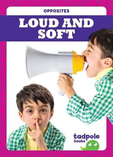 Cover image for Loud and Soft