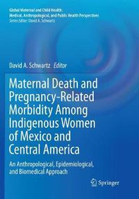 Cover image for Maternal Death and Pregnancy-Related Morbidity Among Indigenous Women of Mexico and Central America: An Anthropological, Epidemiological, and Biomedical Approach