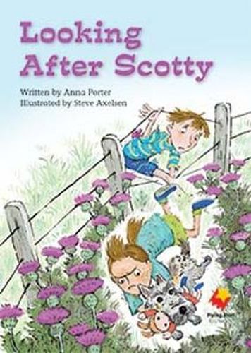 Cover image for Looking After Scotty