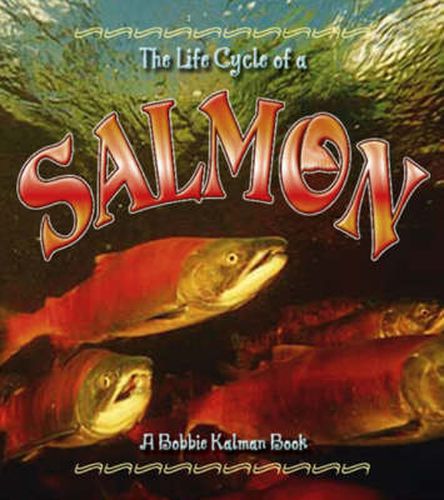 Cover image for The Life Cycle of the Salmon