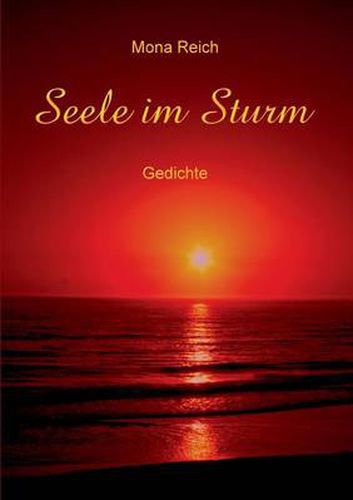 Cover image for Seele Im Sturm