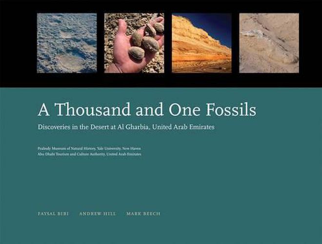 Cover image for A Thousand and One Fossils: Discoveries in the Desert at Al Gharbia, United Arab Emirates