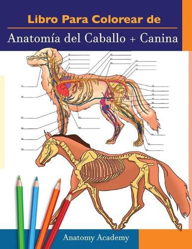 Cover image for Libro para colorear de Anatomia del Caballo + Canina: 2-en-1 Compilacion Libro de colores de autoevaluacion para estudiar muy detallado de Anatomia equina y canina El regalo perfecto para Estudiantes de veterinaria, amantes de los animales y adultos