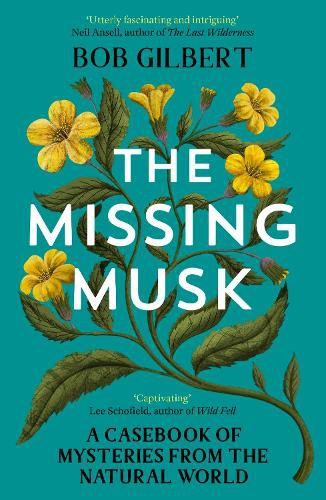 The Missing Musk