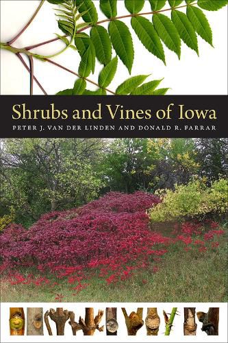 Cover image for Shrubs and Vines of Iowa