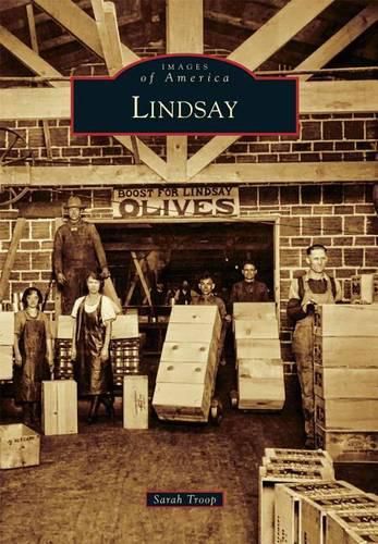 Cover image for Lindsay