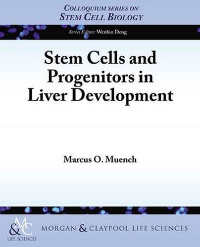 Cover image for Stem Cells and Progenitors in Liver Development