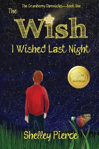 Cover image for The Wish I Wished Last Night