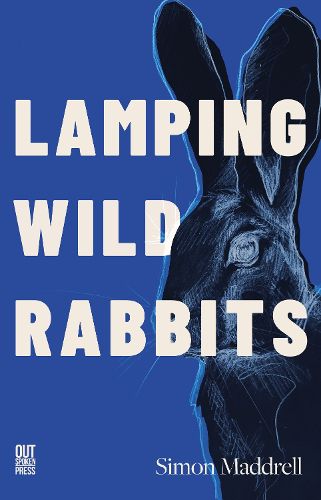 Cover image for lamping wild rabbits