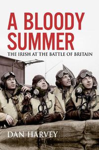 Cover image for A Bloody Summer: The Irish at the Battle of Britain